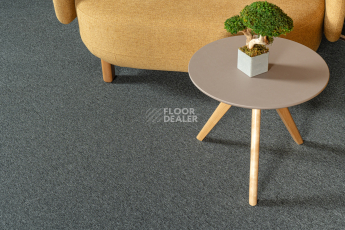 Haima Atom 01 Grey фото 10 | FLOORDEALER